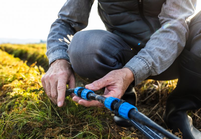 Avoiding Winter Damage